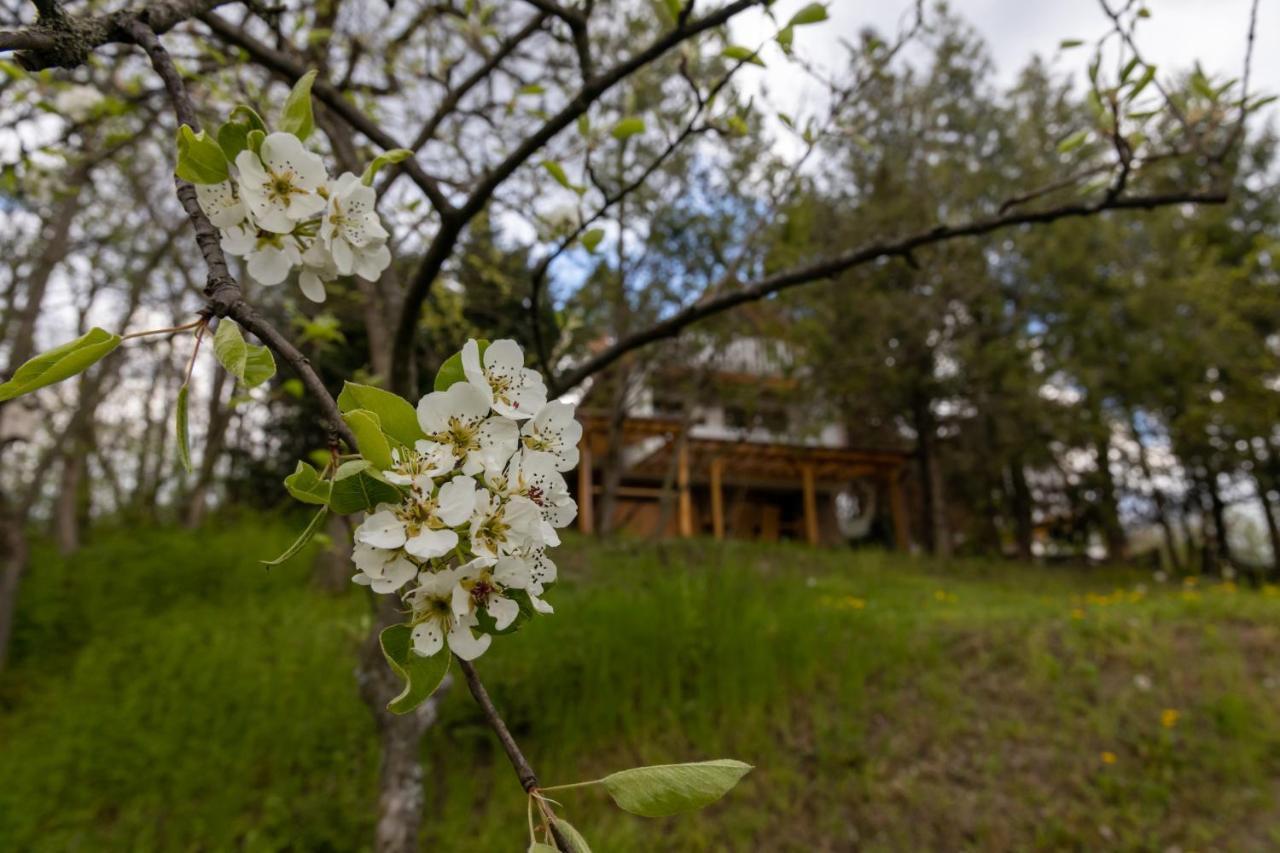 Egercottages - Csillag Cottage Zewnętrze zdjęcie